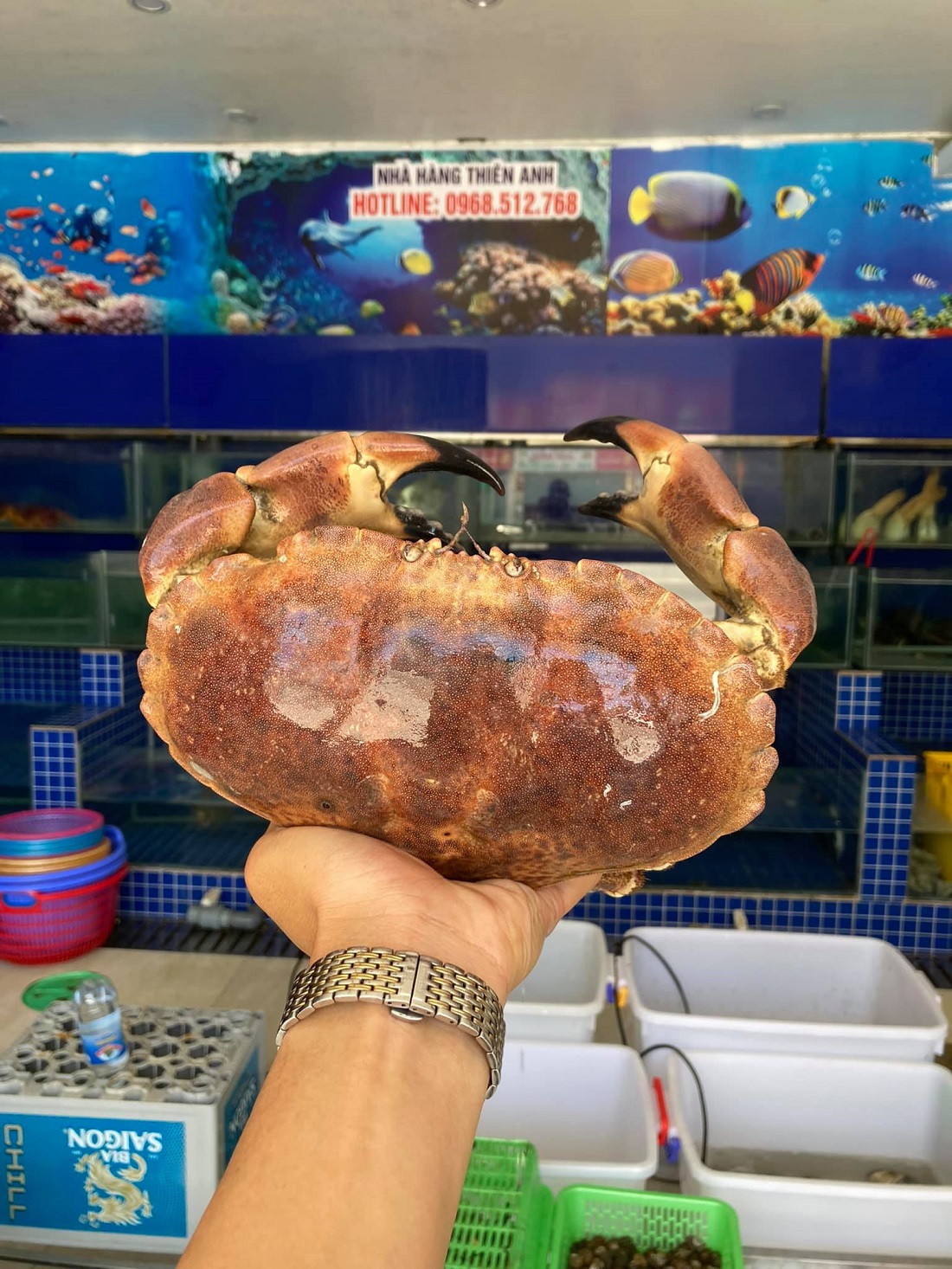 Có cơ hội phải ghé ngay 9 nhà hàng hải sản Hạ Long tươi ngon tuyệt đỉnh 6