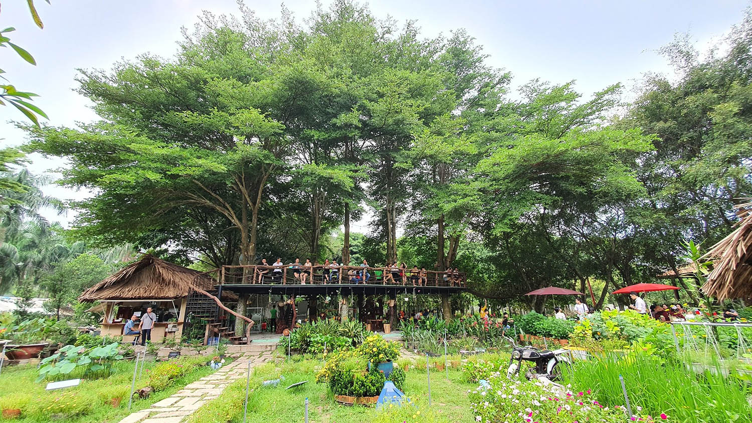 Định Hòa Garden, không gian Đà Lạt thơ mộng giữa Bình Dương 2