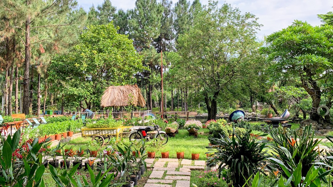 Định Hòa Garden, không gian Đà Lạt thơ mộng giữa Bình Dương 11