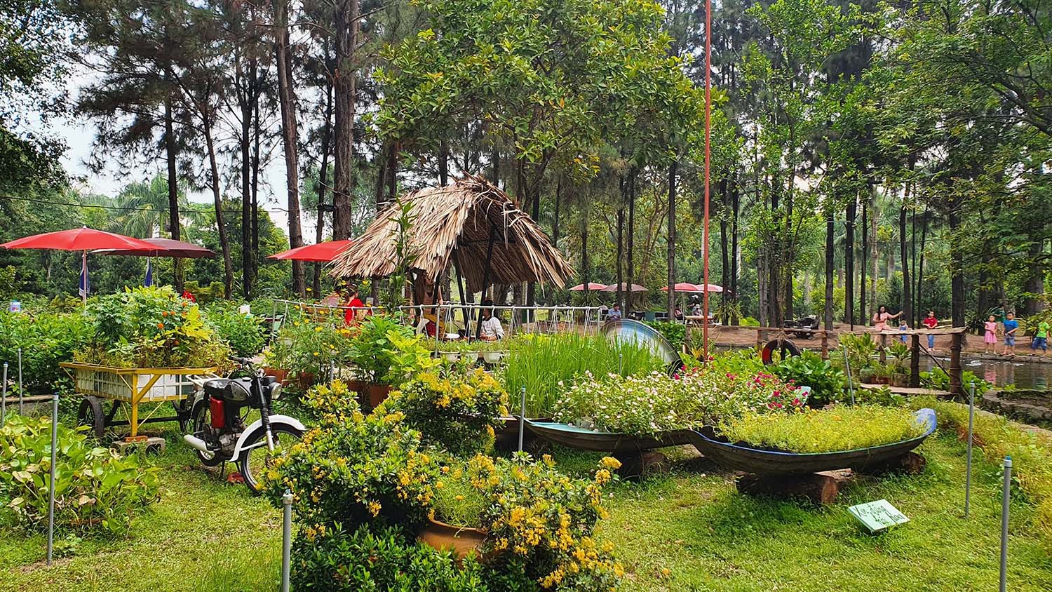 Định Hòa Garden, không gian Đà Lạt thơ mộng giữa Bình Dương 3