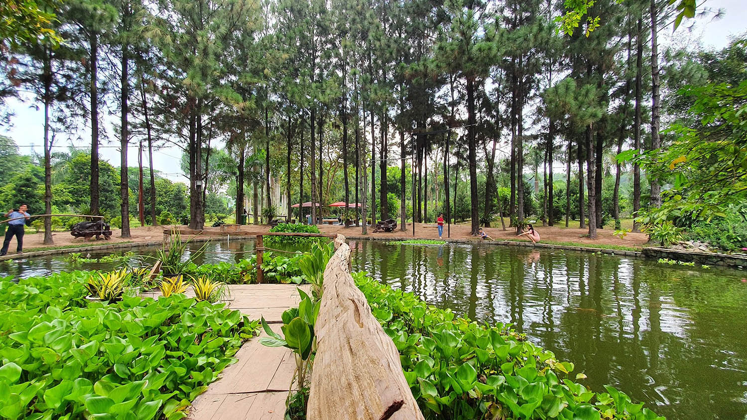 Định Hòa Garden, không gian Đà Lạt thơ mộng giữa Bình Dương 4