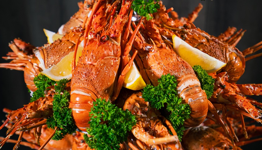 Hải sản Hạ Long tươi ngon, chắc thịt