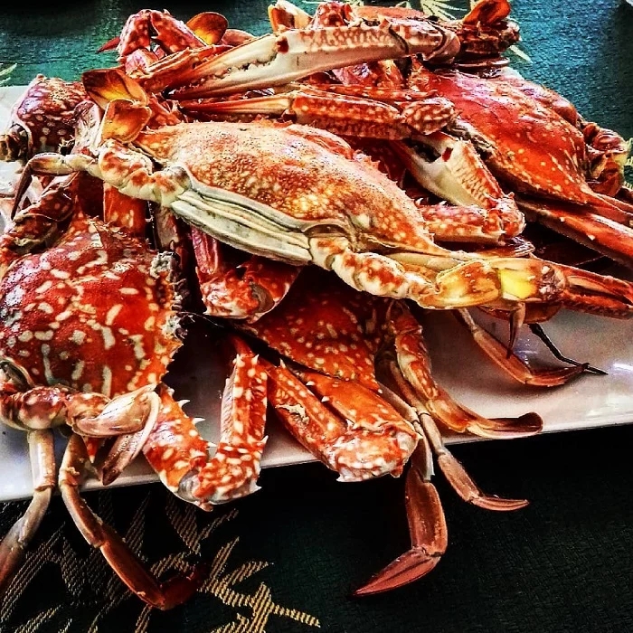 hải sản Quảng Bình