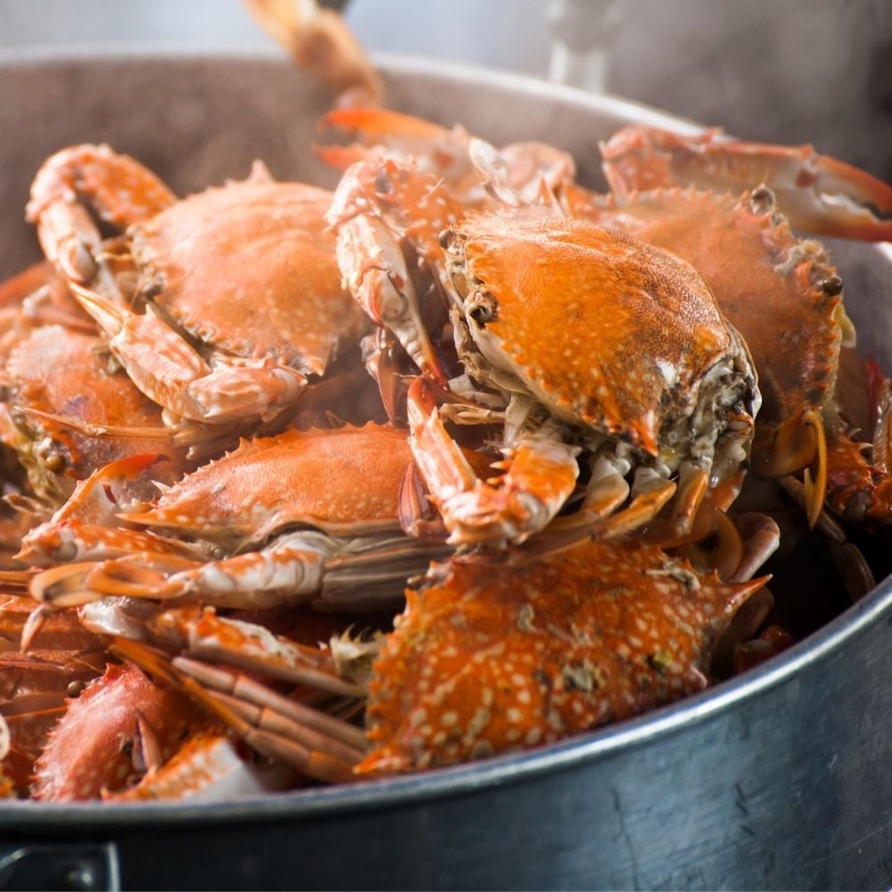 Lưu ngay những địa điểm ăn hải sản Quảng Bình thơm ngon, hấp dẫn 4