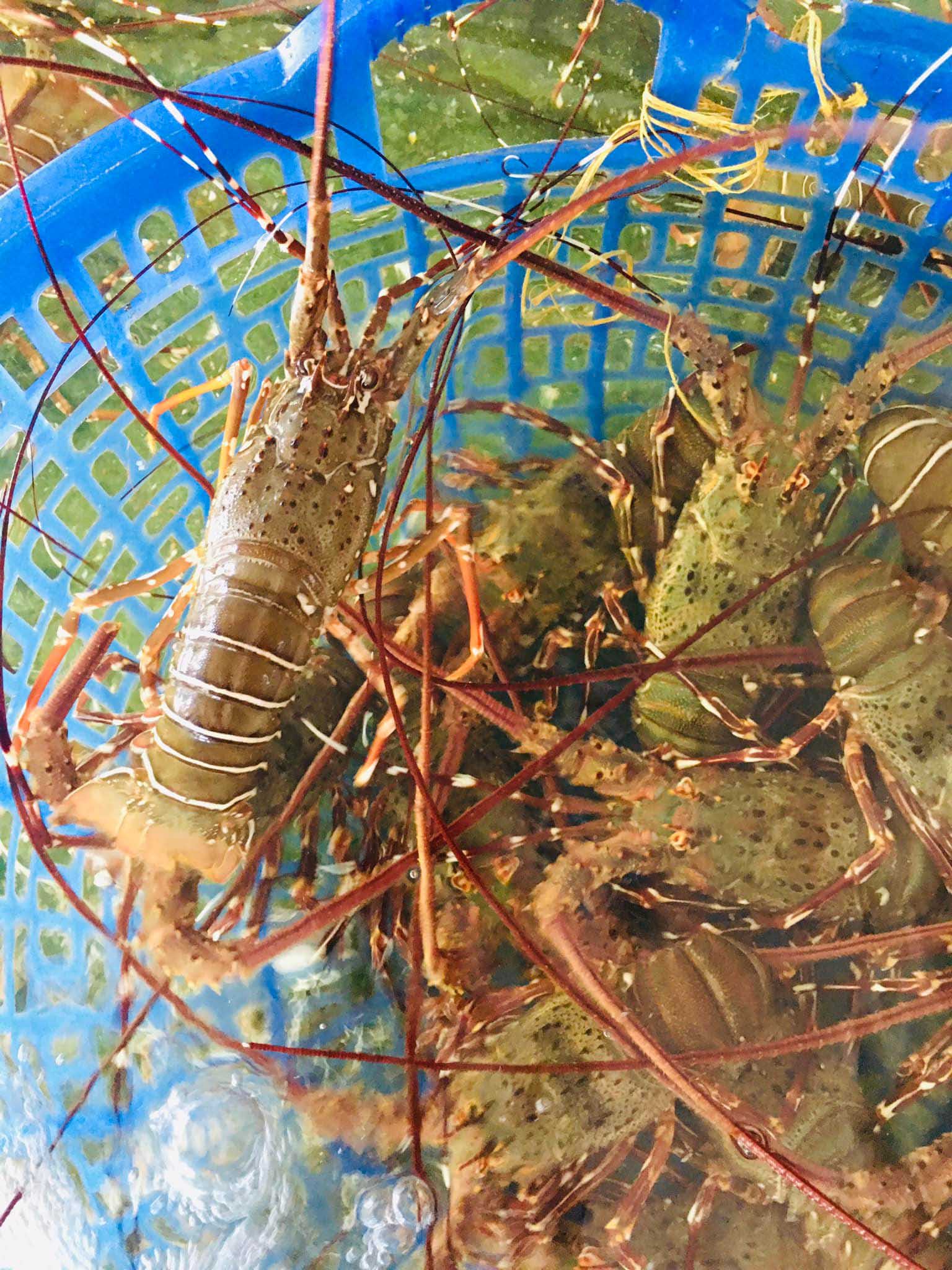 Nhà hàng Bà Oanh Thiên Cầm