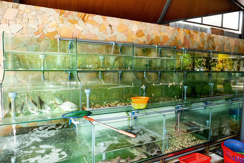 Nhà hàng Hạnh Nhung Luxury