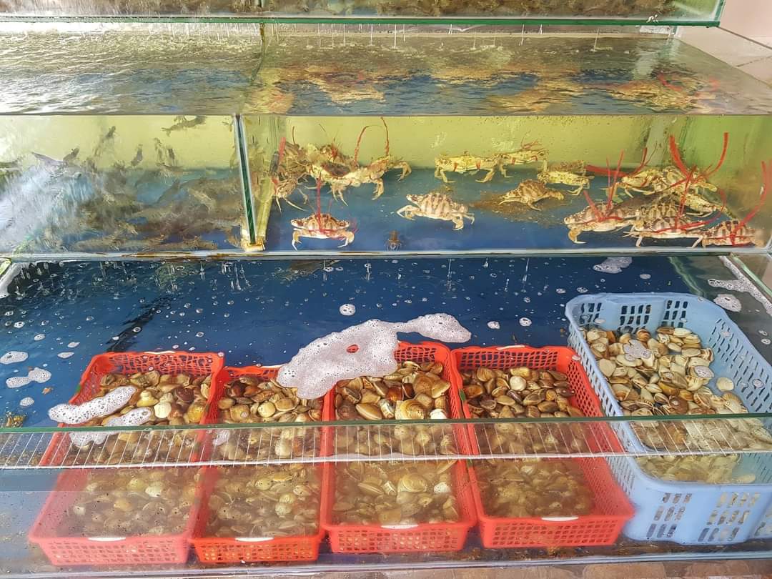 Các loại hải sản đa dạng, tươi ngon