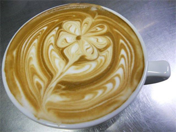 Hướng dẫn Nghệ thuật pha chế cà phê