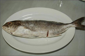 Món đặc sản ngon từ cá cu Hội An