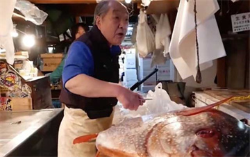 Loài cá khổng lồ siêu đắt đỏ được người Nhật săn lùng quanh năm