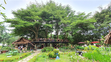 Định Hòa Garden, không gian Đà Lạt thơ mộng giữa Bình Dương