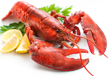 Quyến luyến bên hương vị ẩm thực biển quyến rũ và thuần khiết đến từ Nhà hàng Hải Sản Hạ Long Bay