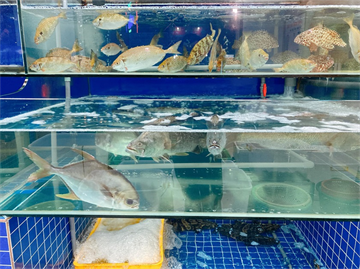 Mách bạn 20 địa chỉ ăn & mua hải sản Hạ Long tươi ngon, hấp dẫn