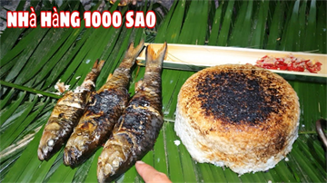 Cơm Rừng Cá Suối Bữa Ăn 1000 Sao | Săn Cá Suối Nơi Rừng Già ( phần cuối )