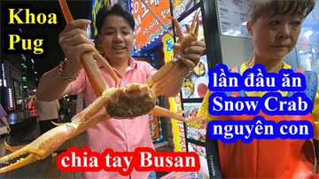 Snow Crab Busan - Khoa Pug vào nhà hàng hải sản trung tâm ăn Cua Tuyết xem thử có bị chặt chém không