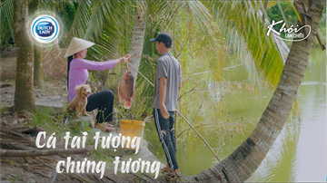 Cá tai tượng chưng tương miền Tây - Khói Lam Chiều