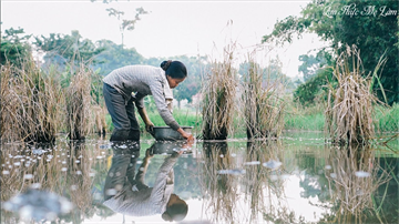 Đặc sản cua đồng rang lá lốt thơm giòn đậm vị quê I Ẩm Thực Mẹ Làm