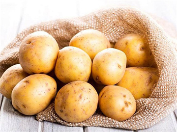 Khoai tây mọc mầm có ăn được không? Cách phòng tránh ngộ độc và bảo quản khoai tây có thể bạn chưa biết