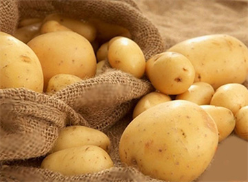 Những nghiên cứu mới công bố về công dụng của củ khoai tây